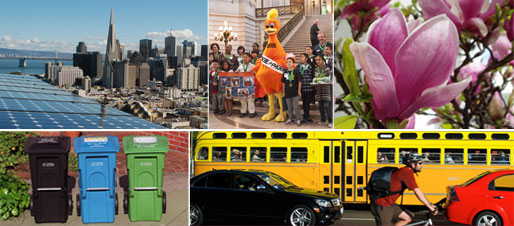 photo collage of five images