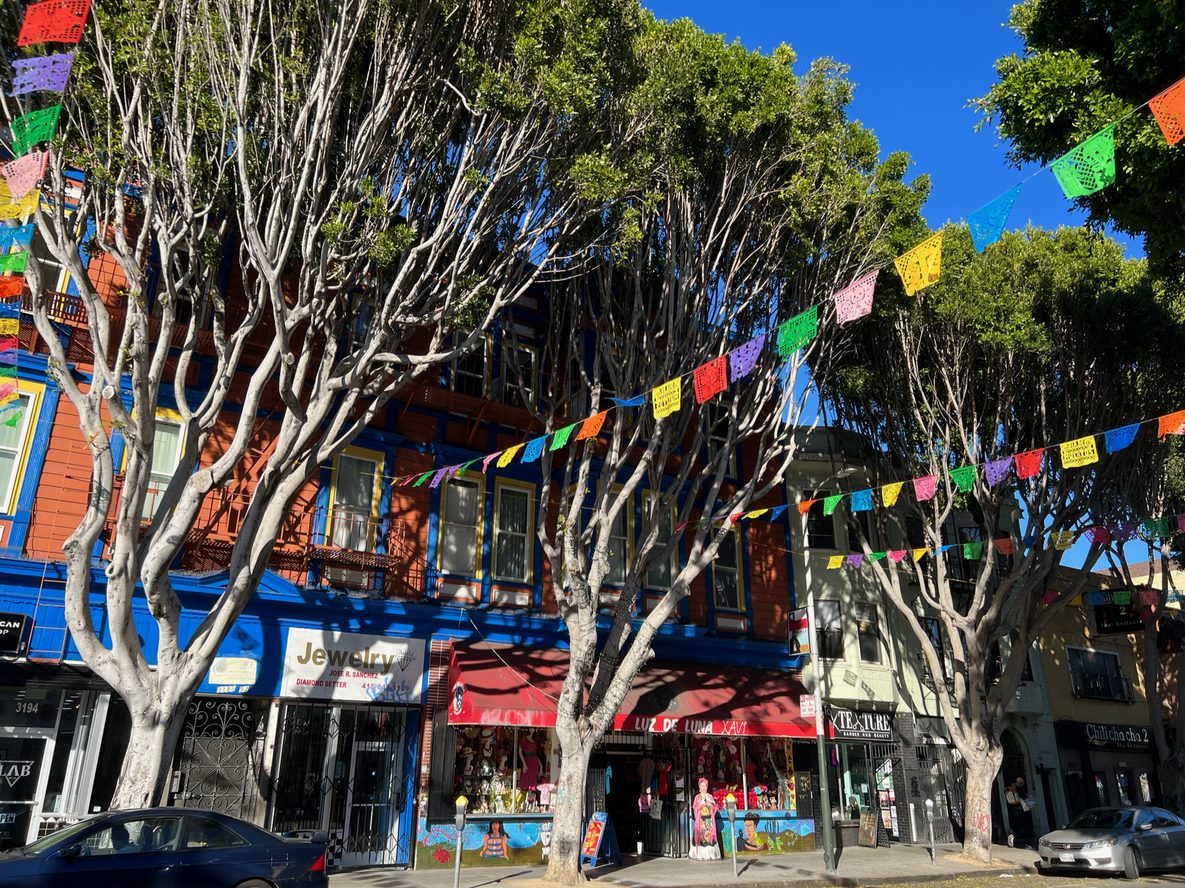 Trees along the sidewalk in San Francisco's Mission neighborhood