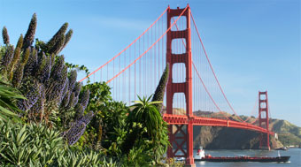 biodiversity photo