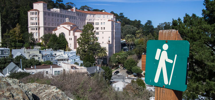 sfe_bd_header_wild_find_750px_0.jpg