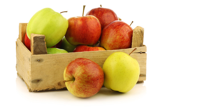 photo of apples