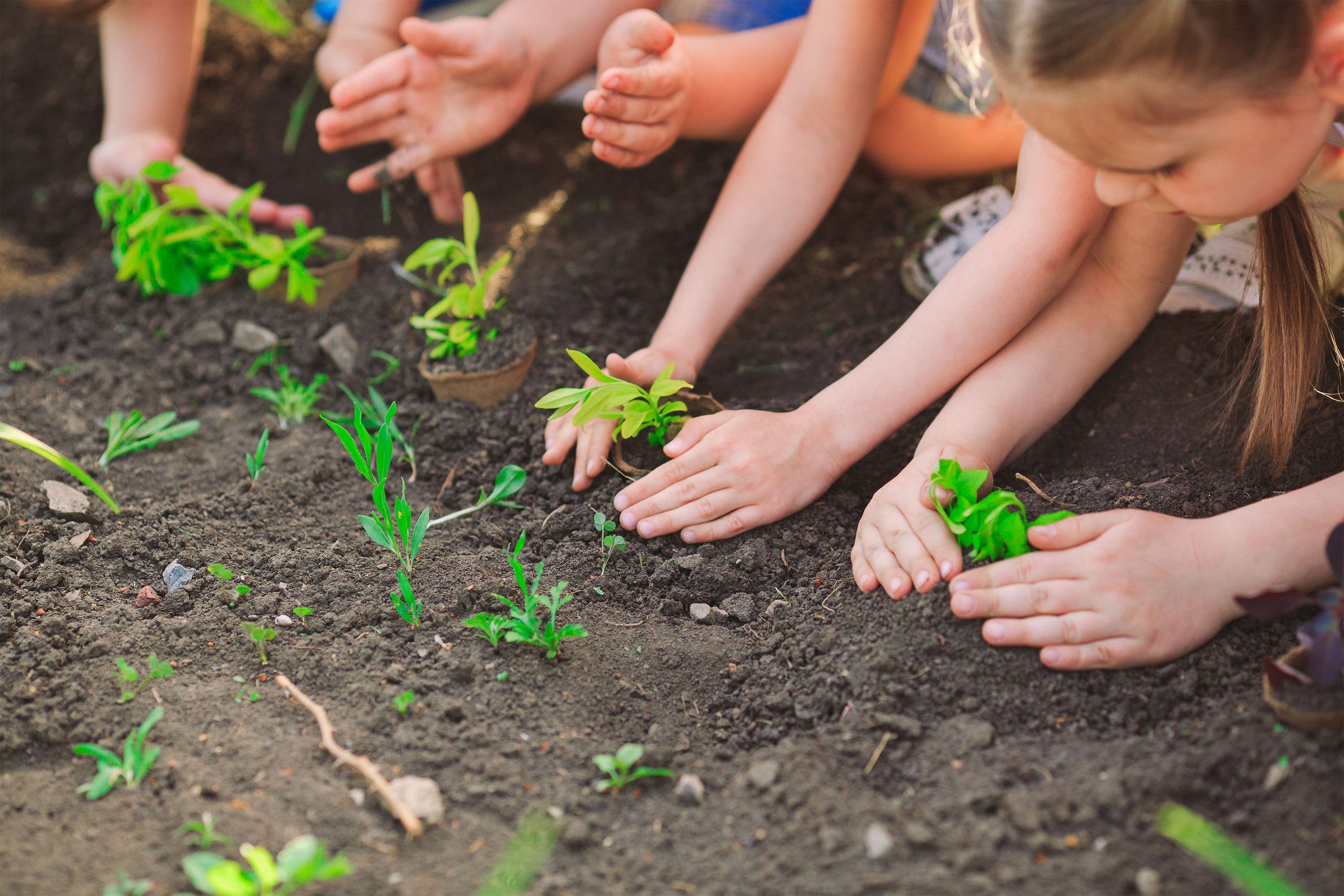 kids and compost