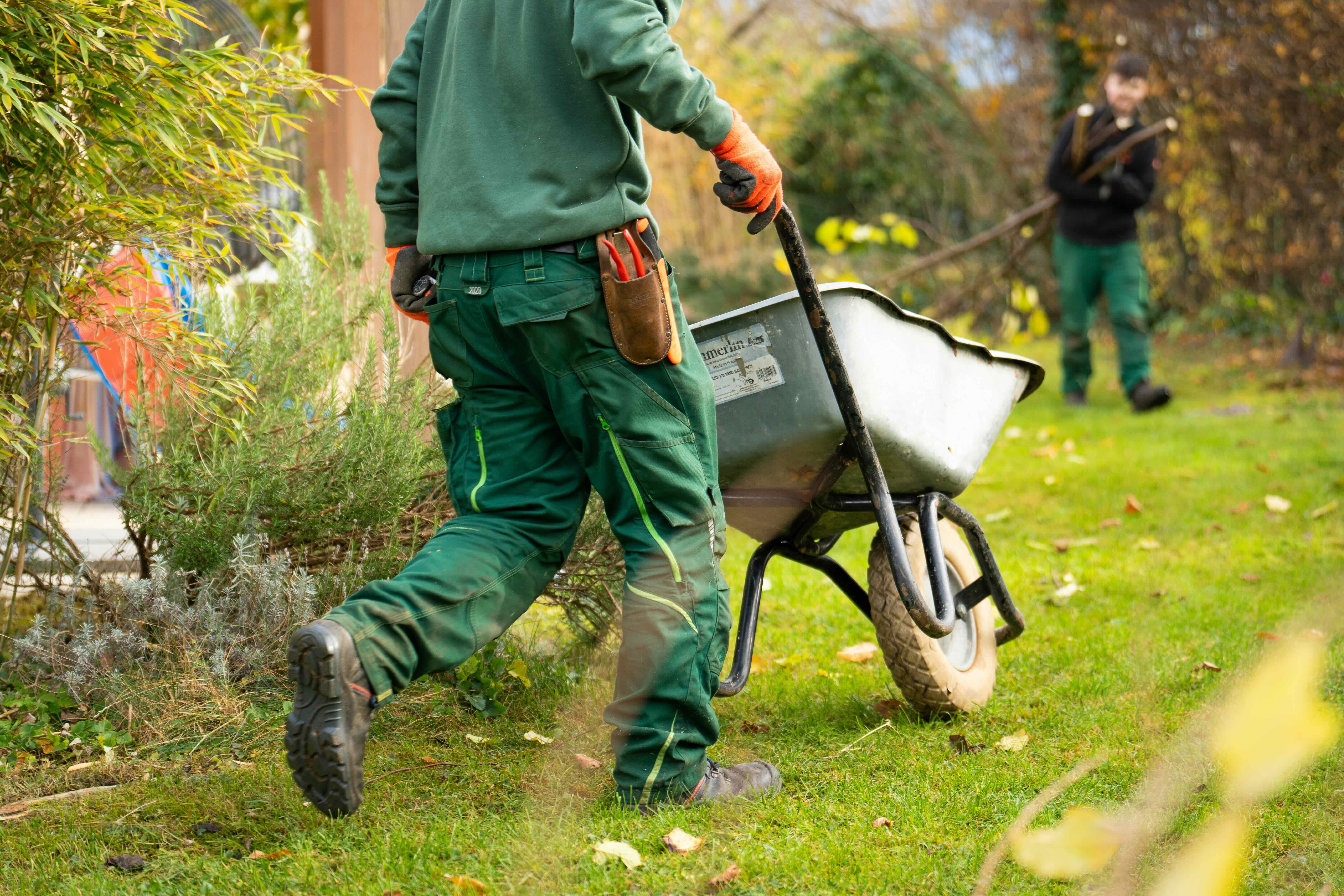 A person holding a wheelbarrow over green grass