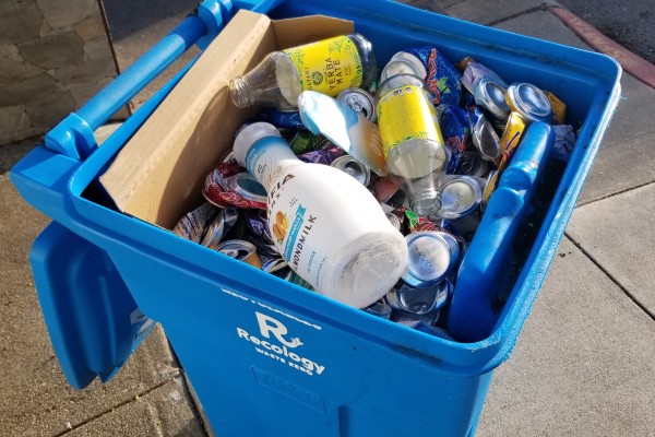 San Francisco's blue bin filled with recyclable products like milk cartons and glass jars