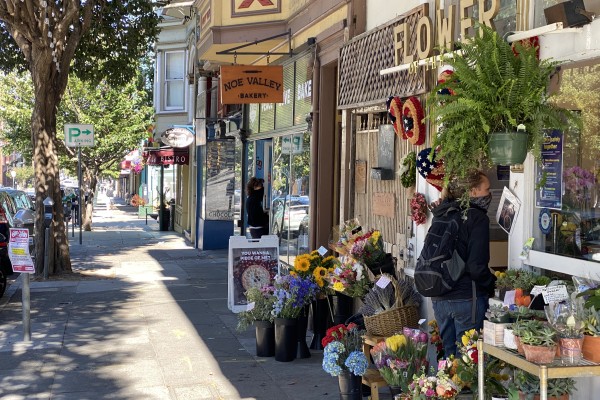 Various businesses along the sidewalk in Noe Valley