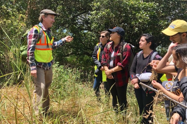 People listening to a presentation about the wildlife on Yerba Buena Island as they stand in tall grasses.