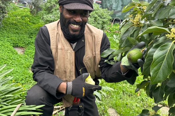 Photo featuring a Black environmental leader from San Francisco, who is improving soil health by planting species that are fire resistant and attract pollinators.