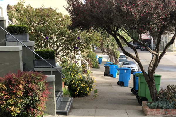 blue recycling bins and green compost bins are seen on a residential sidewalk in a SF neighborhood