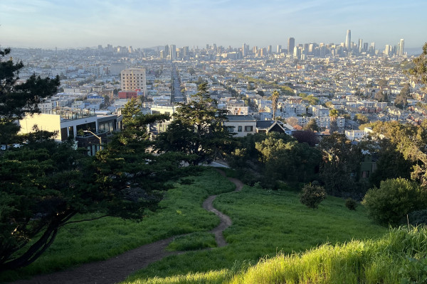 A view of San Francisco from a hilltop park with greenery in the foreground
