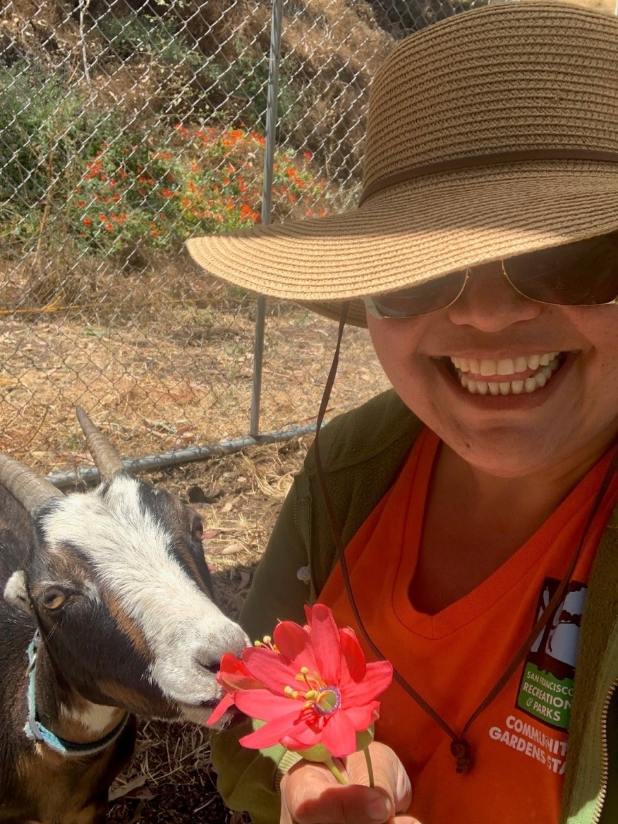 Mei Ling is wearing a large sunhat with sunglasses. She's smiling and there is a goat smelling a flower she's holding in her hands.
