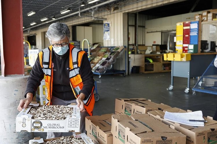 Some wearing an orange vest and holding a mask, is holding a crate of vegetables in their hands.