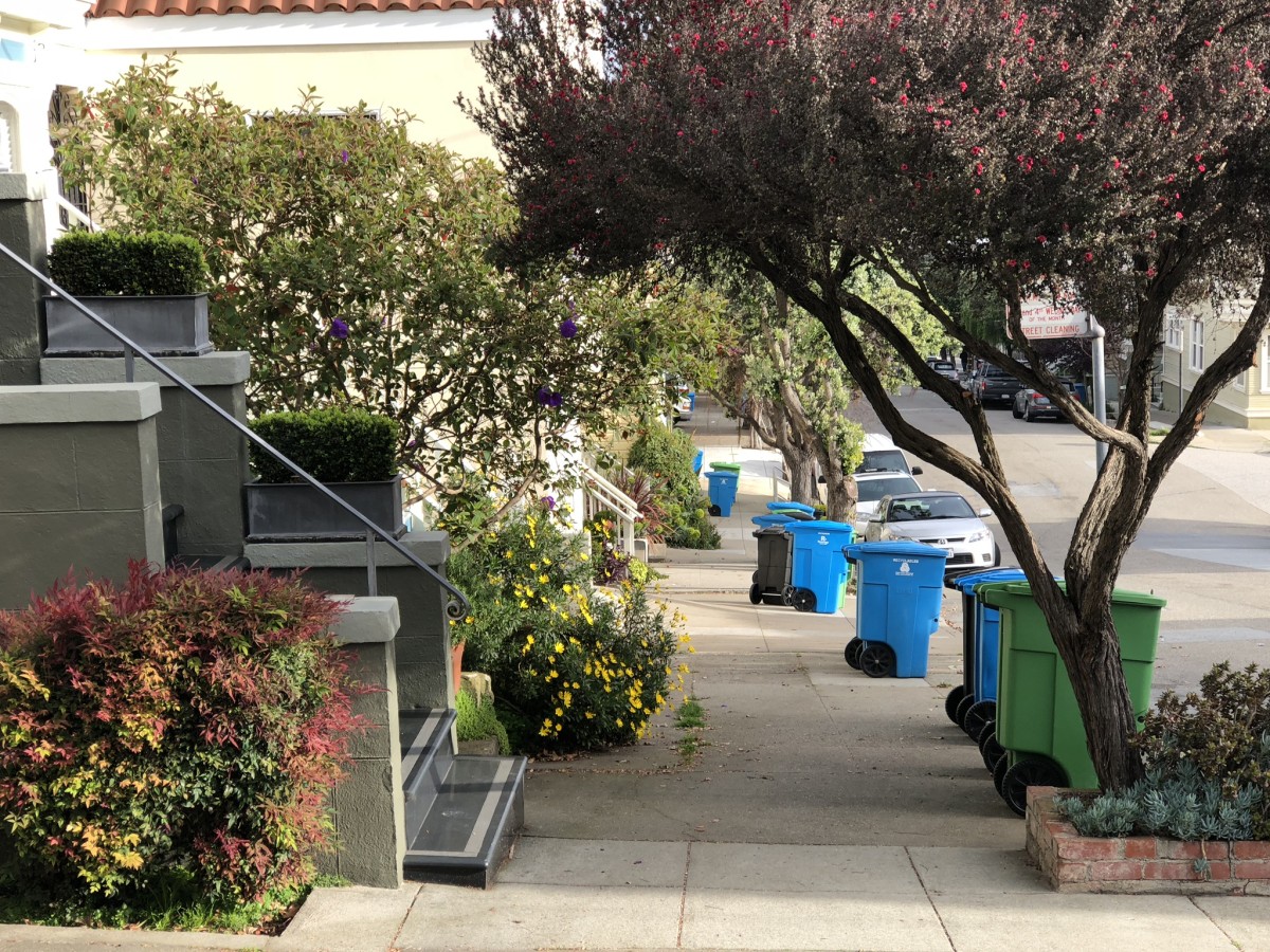 blue recycling bins and green compost bins are seen on a residential sidewalk in a SF neighborhood