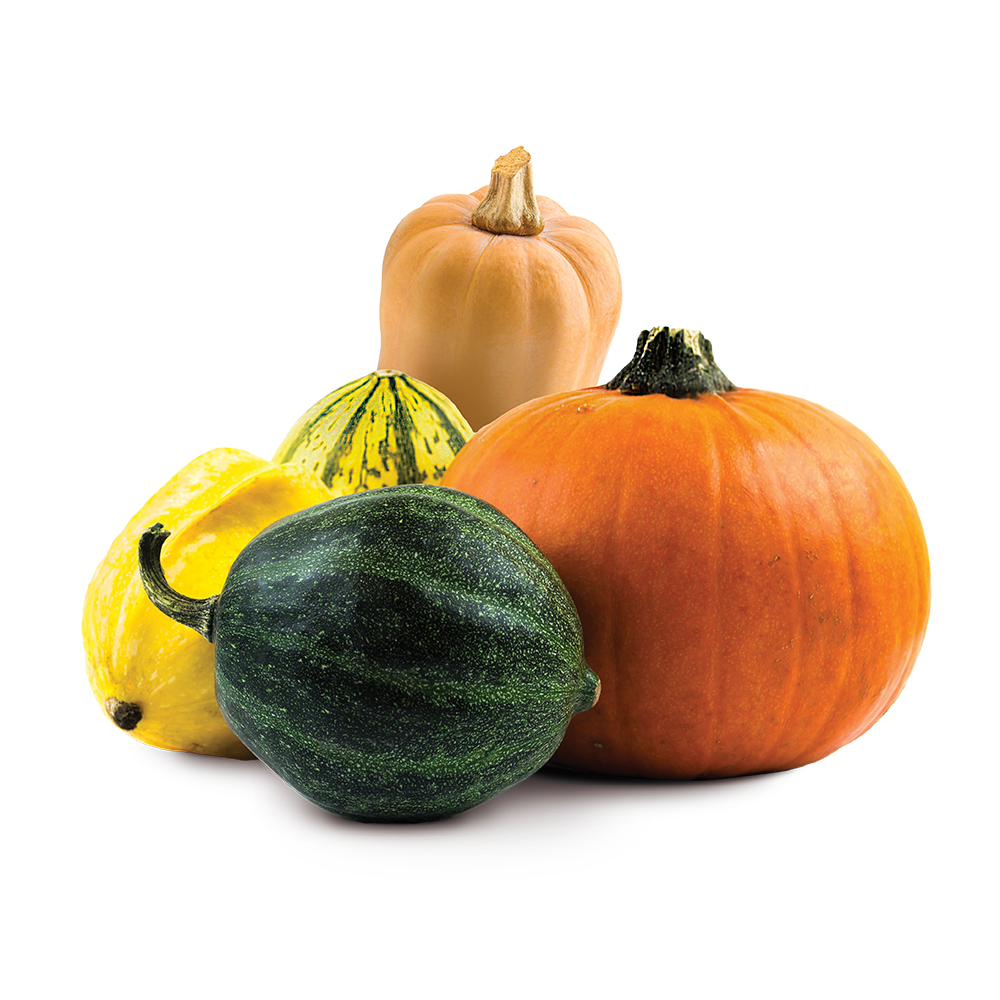 Butternut and acorn squash arranged on a transparent background 