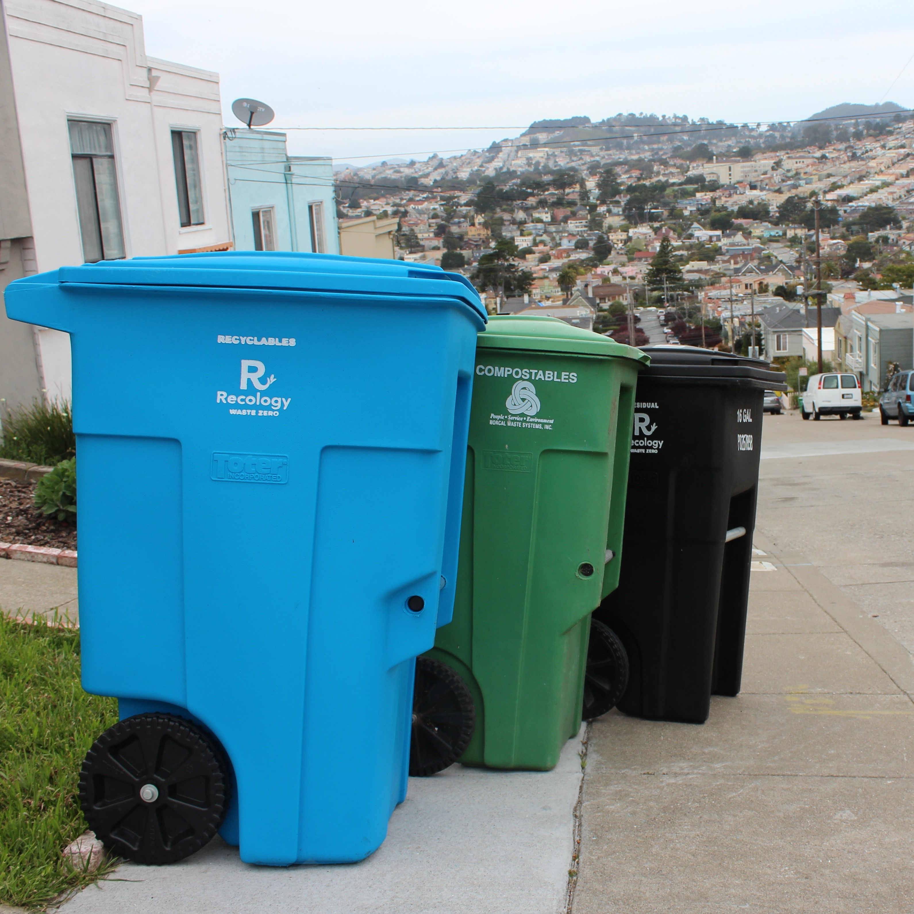 Blue, green, and black waste bins on the street with the city of San Francisco in the background