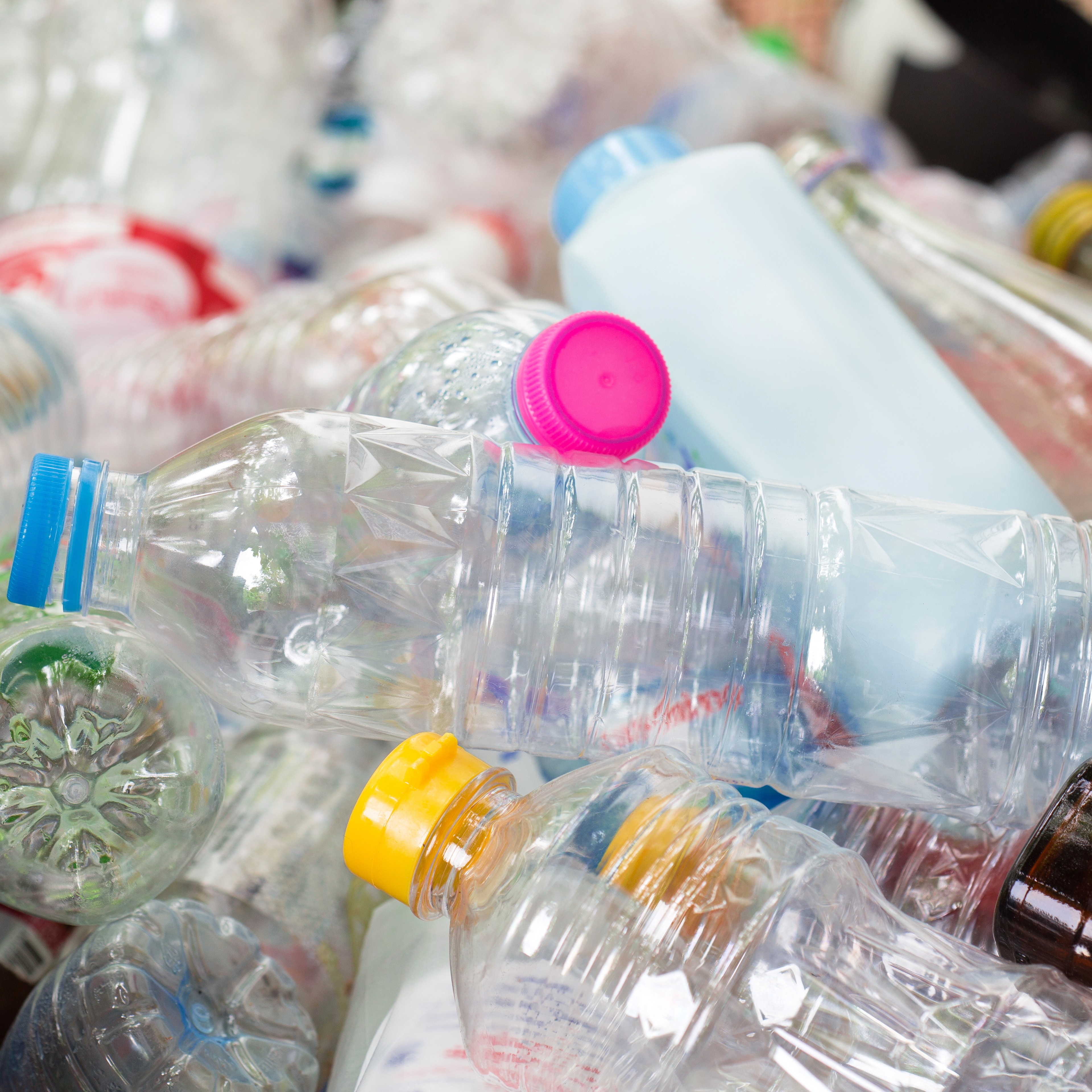 An assortment of plastic bottle litter