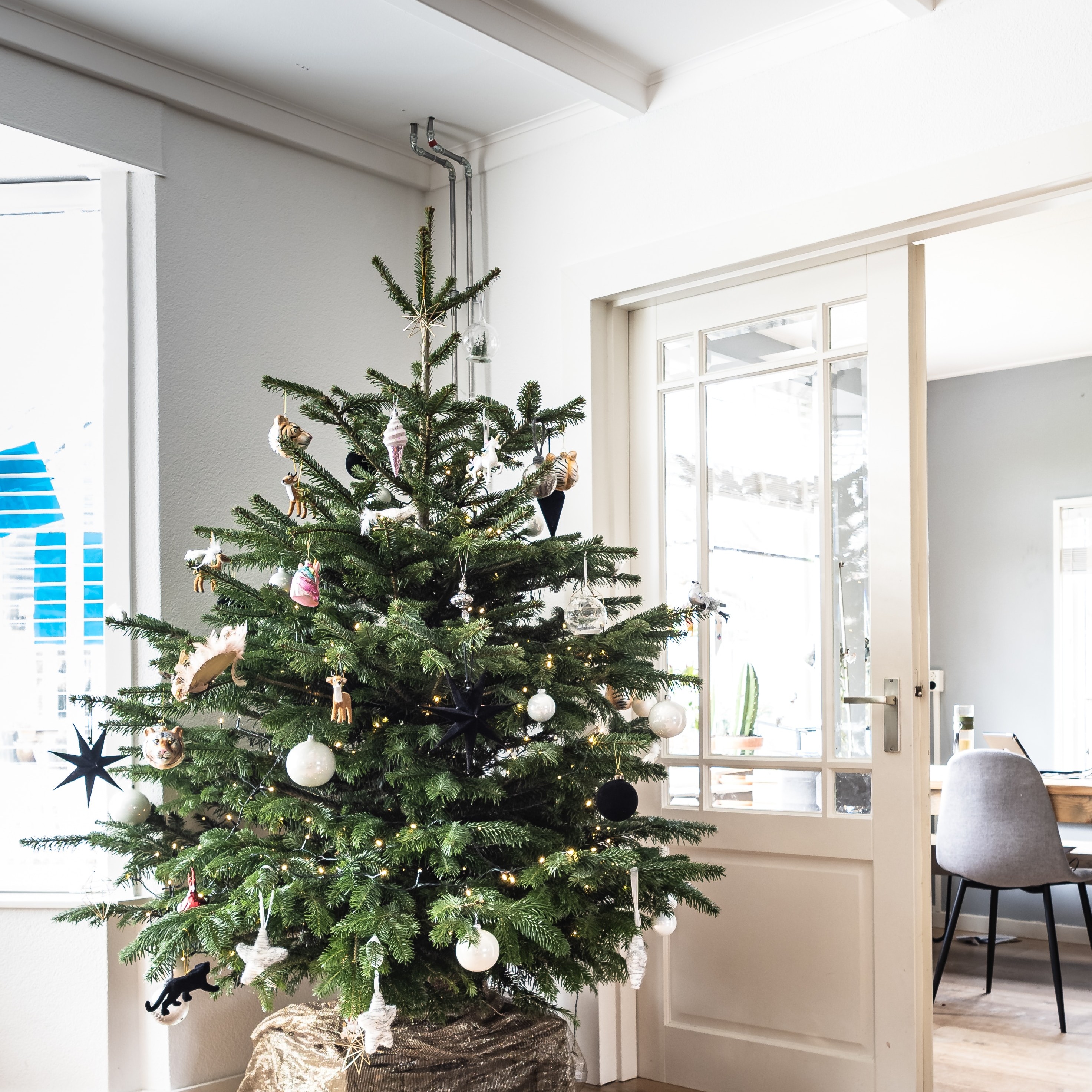 A christmas tree is decorated in the corner of an apartment with lots of natural sunlight
