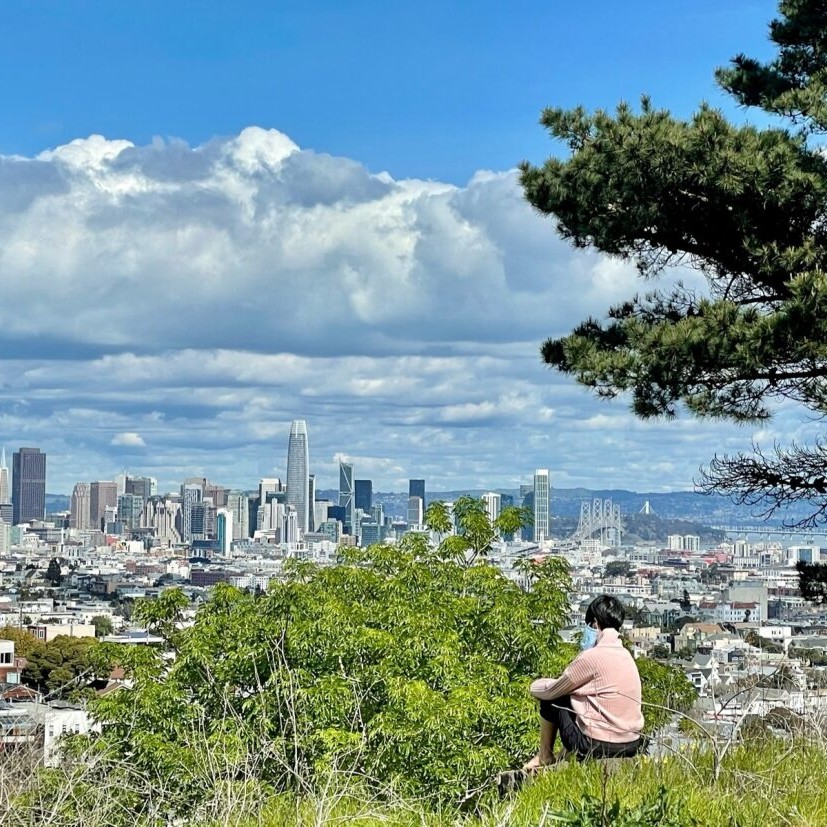 A person sits on the steps of billy goat hill in San Francisco overlooking the city's residential and commercial neighborhoods