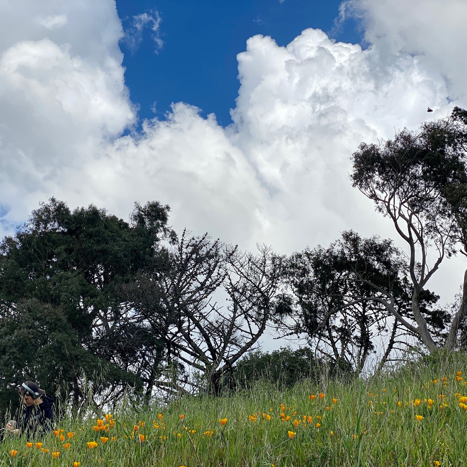 Upcoming events and notices | San Francisco Environment Department (SFE)