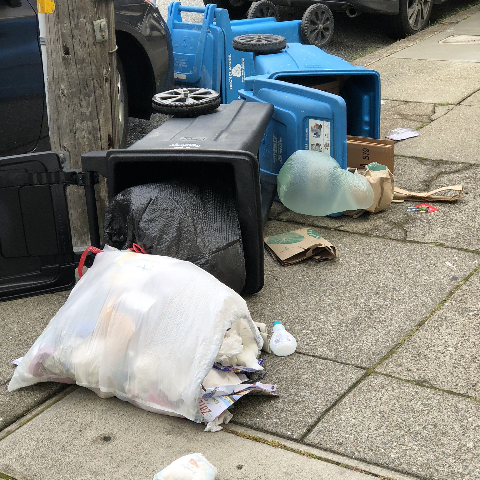 Trash cans tipped over on the street with trash falling onto the sidewalk.