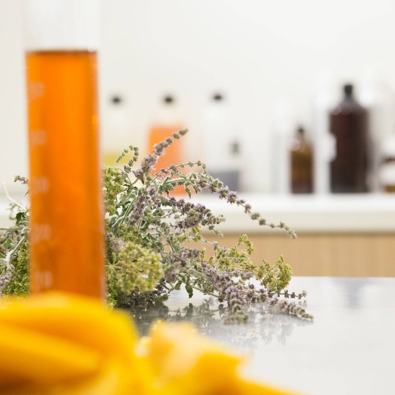 Herbs resting on a kitchen counter with bottles blurry in the background.