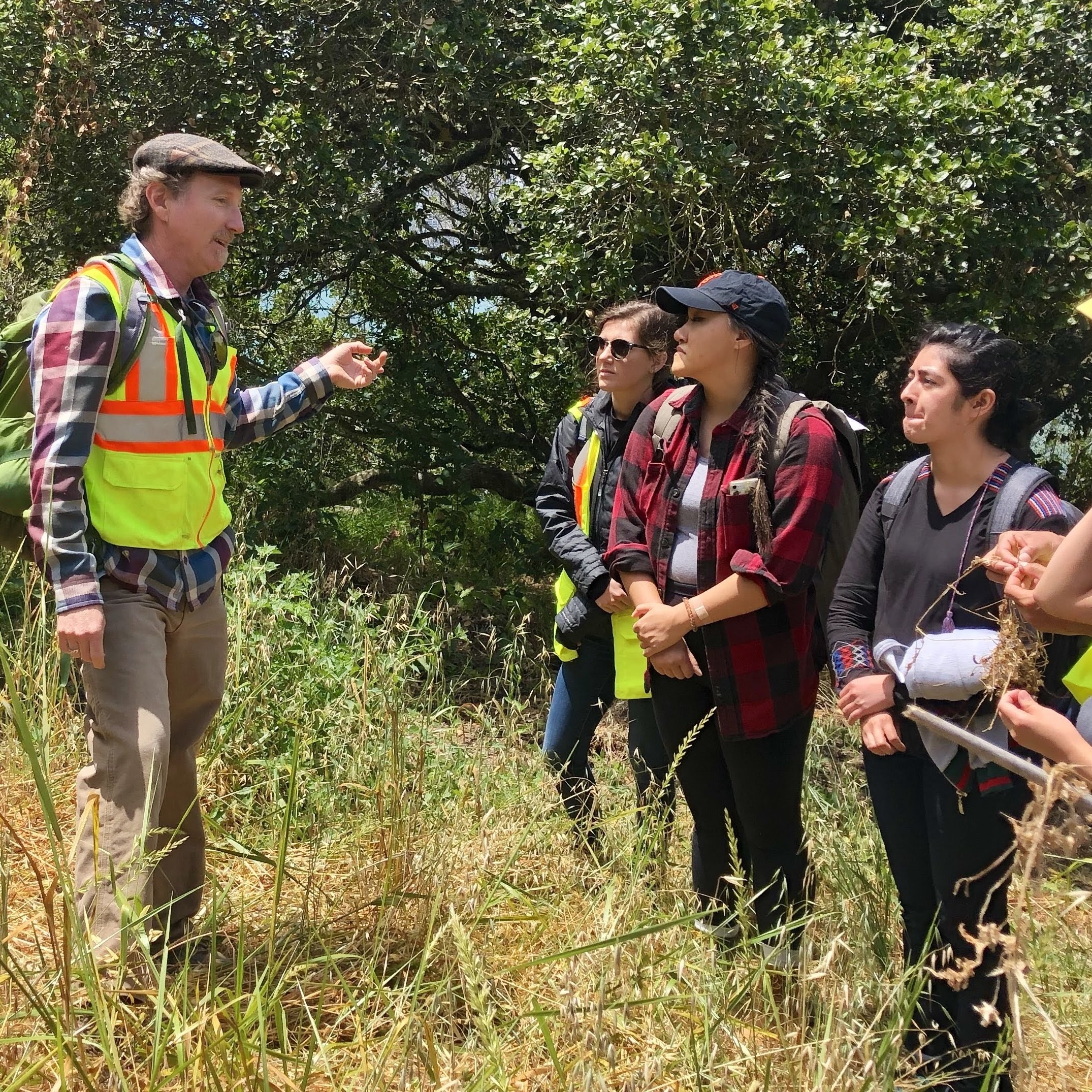 People listening to a presentation about the wildlife on Yerba Buena Island as they stand in tall grasses.