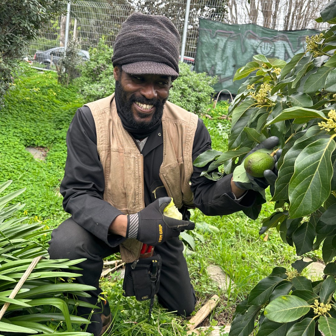 Photo featuring a Black environmental leader from San Francisco, who is improving soil health by planting species that are fire resistant and attract pollinators.