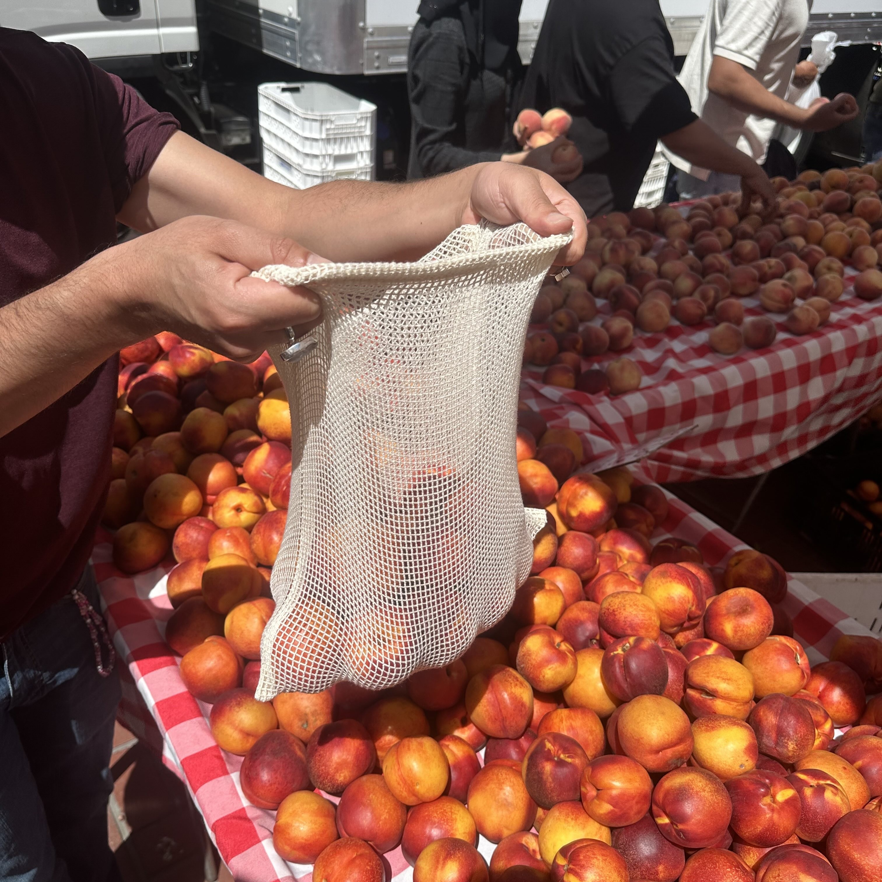 reusable bag at a local farmers market in SF