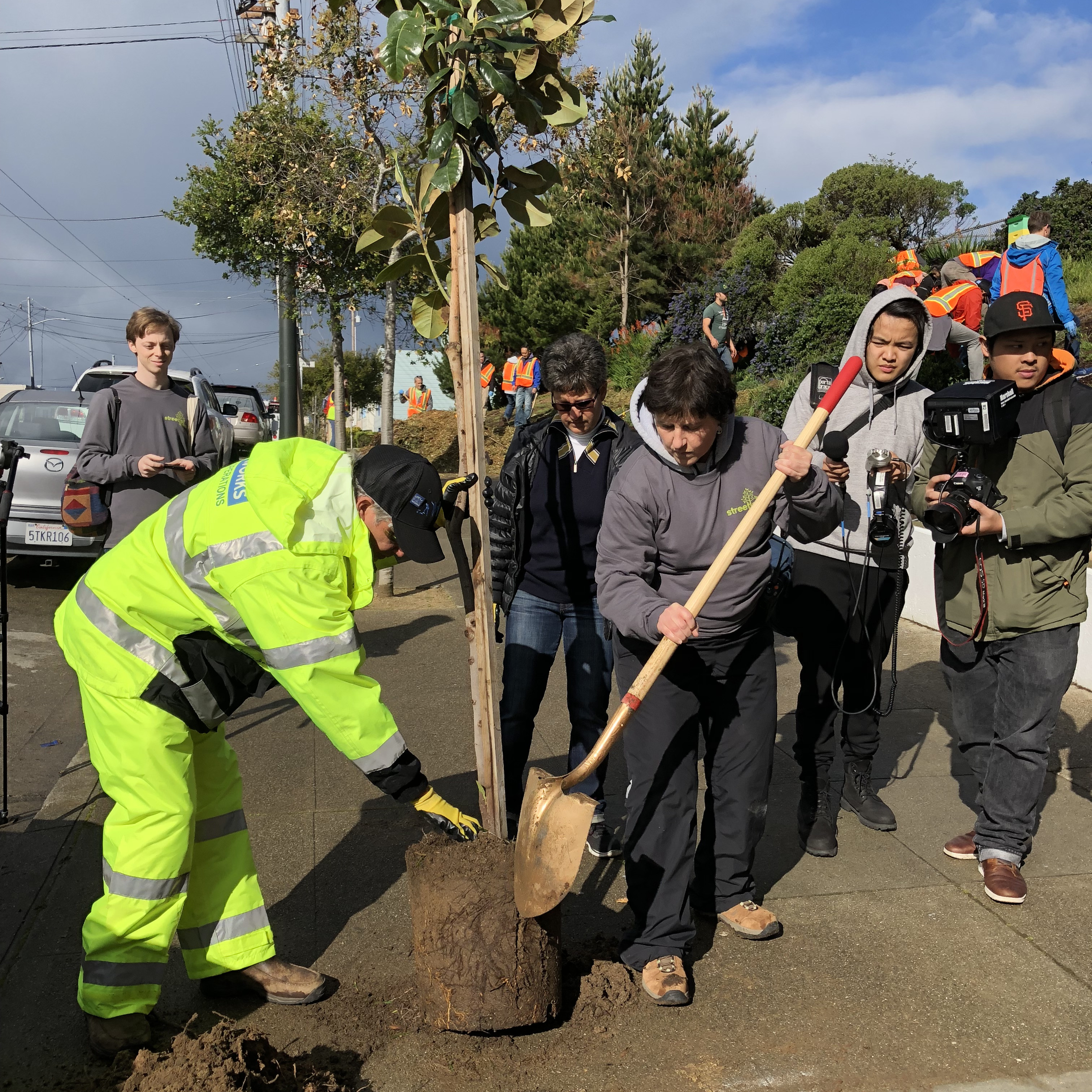Staff from SF Public Works and SF Environment plant a tree 