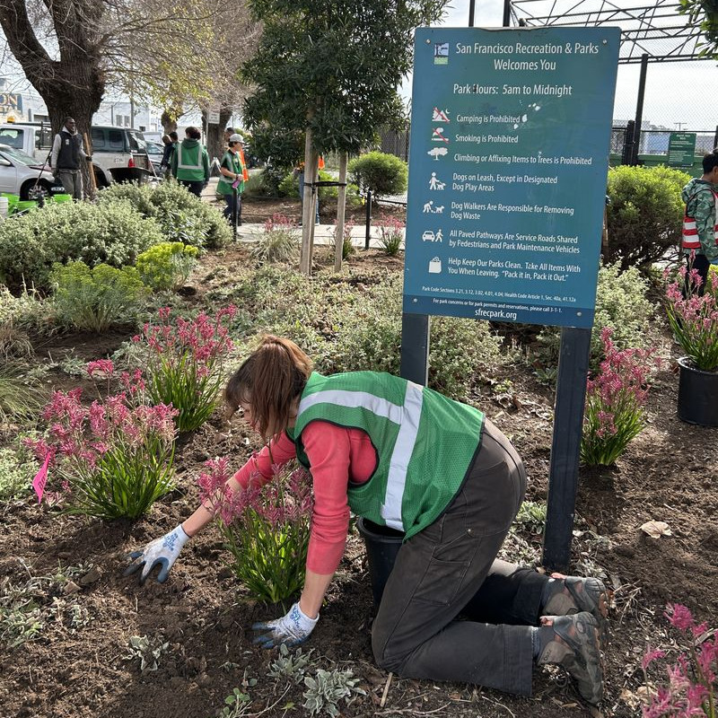 A person working in a garden planting flowers wearing a green vest