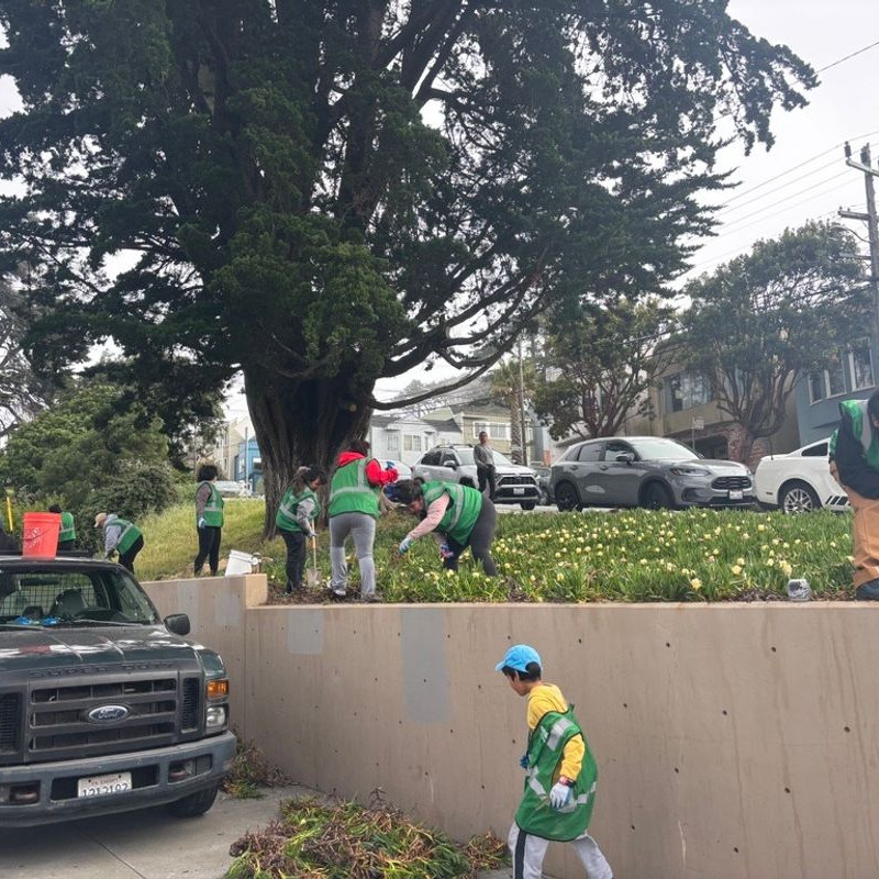 Volunteers tend to public green spaces in San Francisco parks