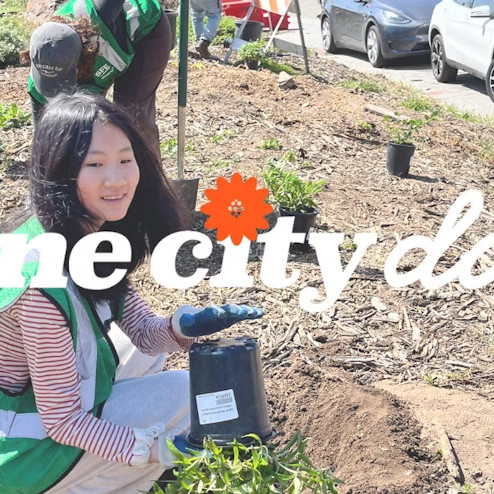An environmental volunteer in San Francisco green space